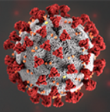 coronavirus.png