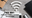 Free Wifi.png