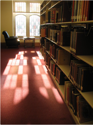 Library Shelves Picture